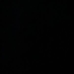 Meet your Posher, Betsy